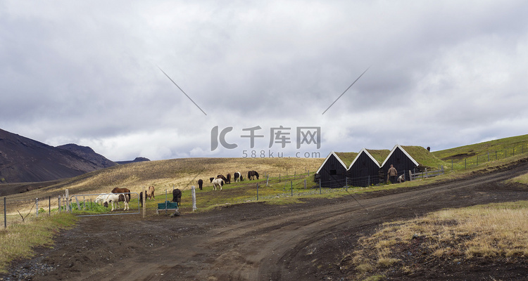 冰岛南部土路上的冰岛传统草皮屋