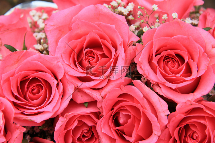 新娘布置中的粉红玫瑰
