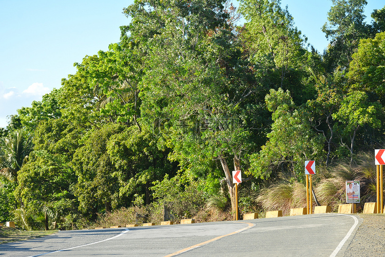 菲律宾奥罗拉有树的路