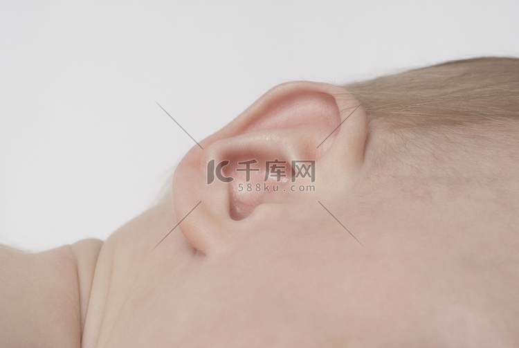 婴儿（6-12 个月）耳朵特写