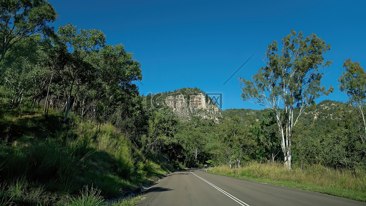 在安静的澳大利亚公路上穿越丛林