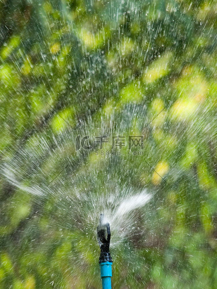 草坪洒水器