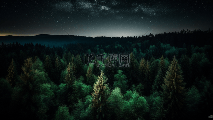 从高处观看夜间森林的景色