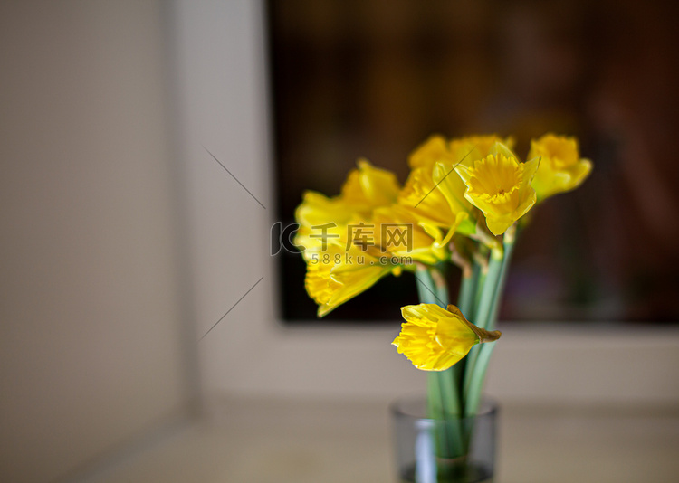 窗台上一个玻璃花瓶里的一束黄色