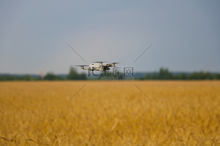 无人机飞过一片黄色的麦田。