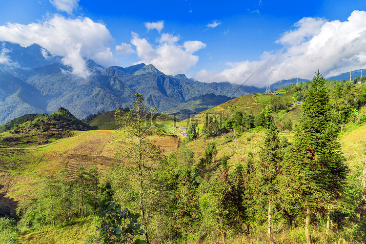 弯曲的梯田 SaPa VietNam Lao Cai