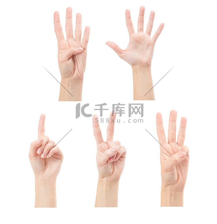 数数女人的手（1 到 5）在白