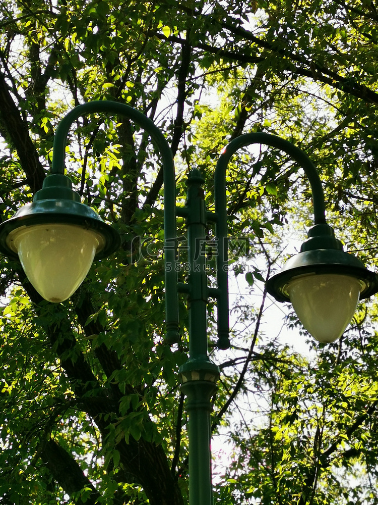 米什科尔茨树旁的一盏灯