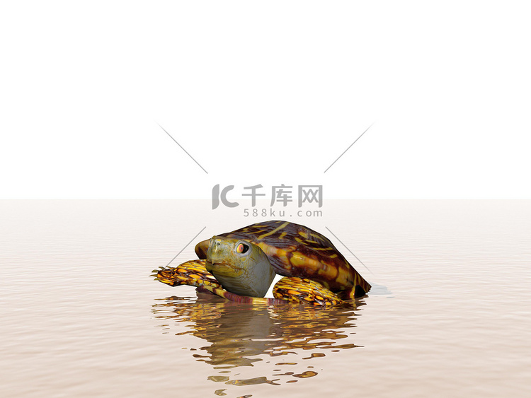 海洋中的褐龟 — 3d 渲染