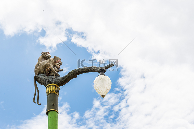 蓝天灯柱上的猴子家族雕像。