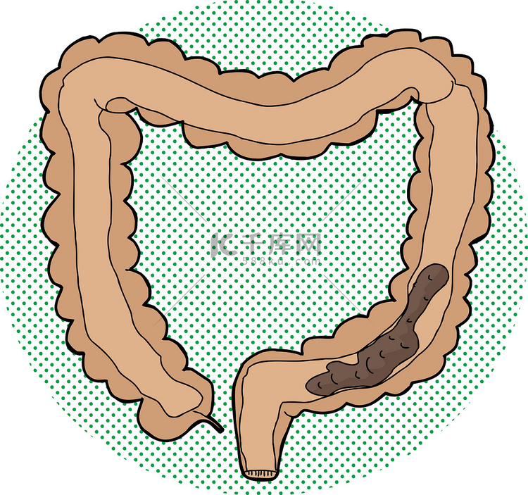 大肠中的肠
