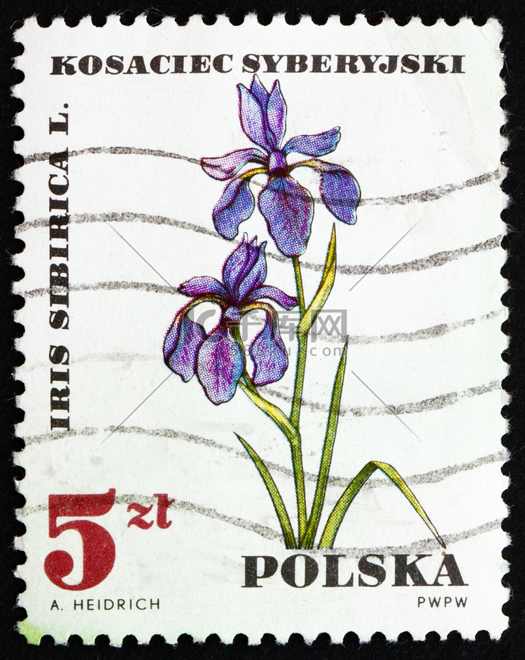 “邮票波兰 1967 年 Ir