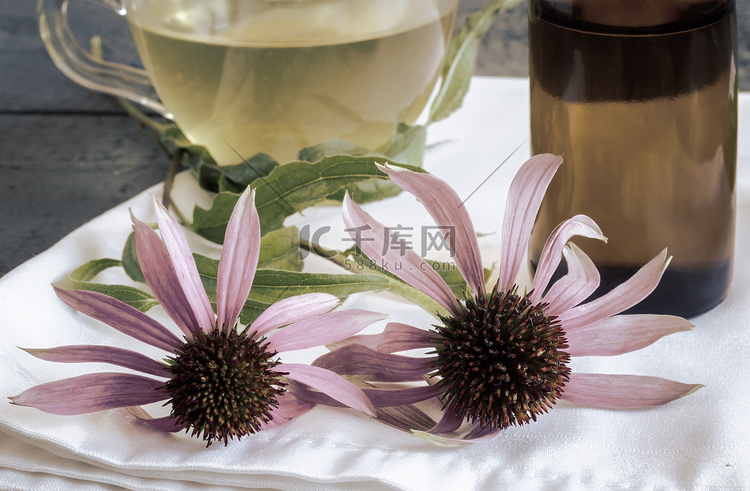 含有药用植物紫锥菊的凉茶