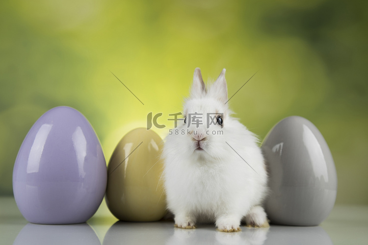 鸡蛋，小兔子，复活节快乐背景