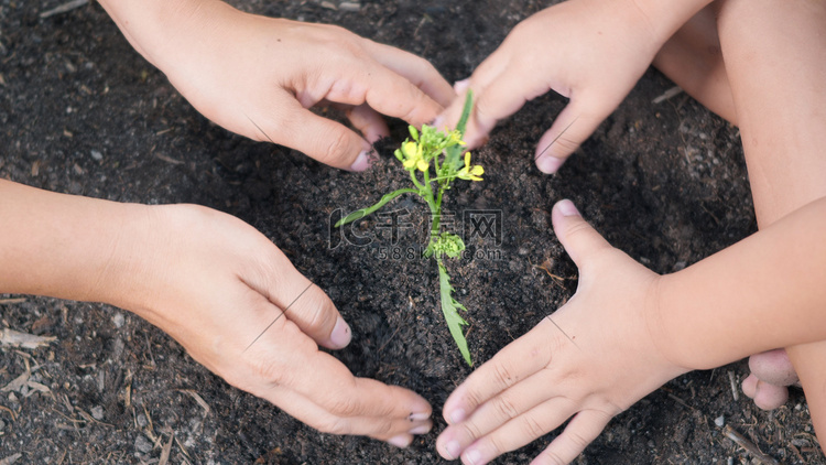 孩子的手和父母一起在花园的土壤
