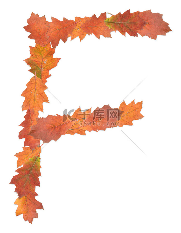 橡树秋叶制成的字母