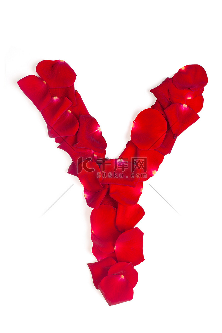 由红色花瓣制成的字母 Y 在白