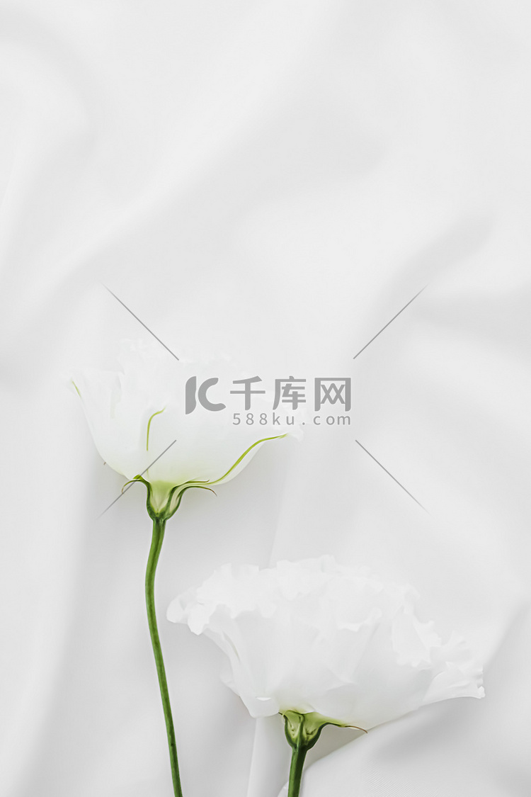 丝绸织物上的白玫瑰花作为新娘平