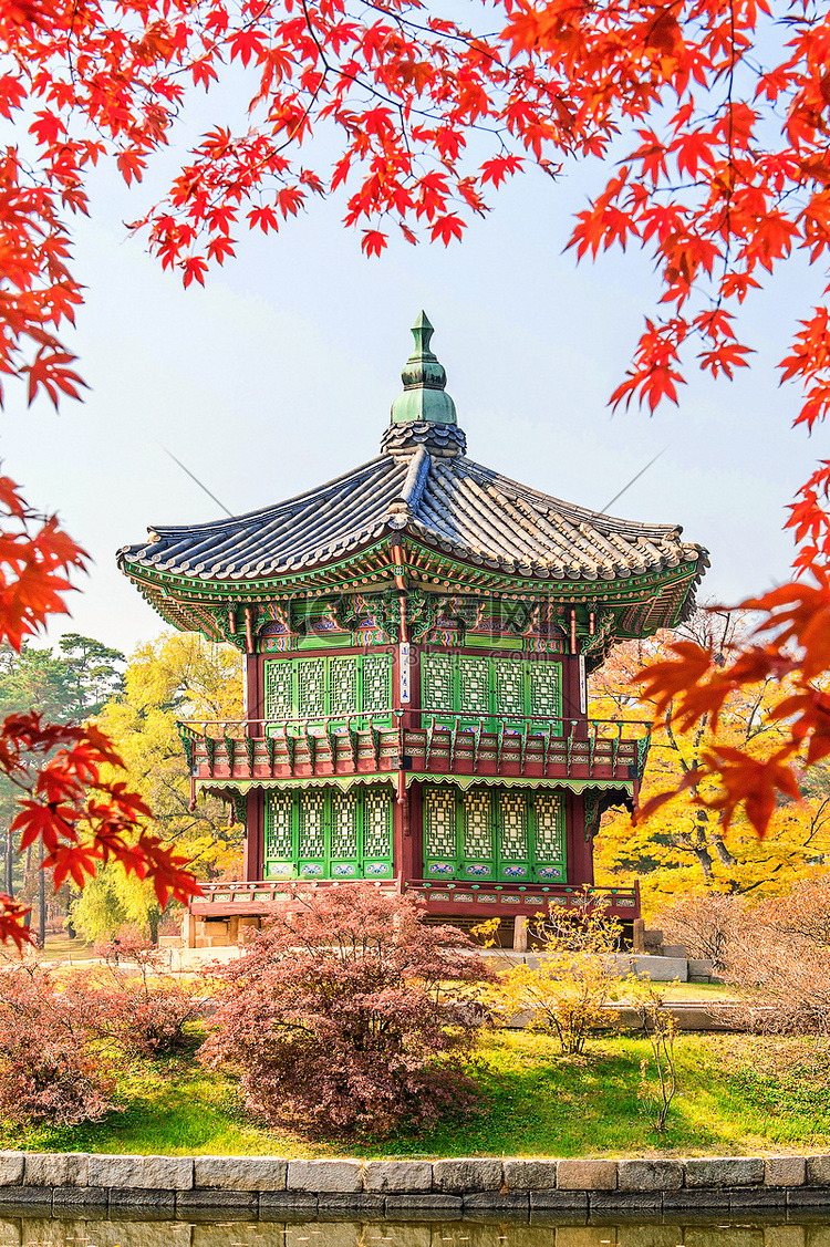 韩国秋天的景福宫和枫树。