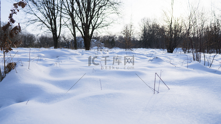 美丽的冬季森林，树木覆盖着白雪