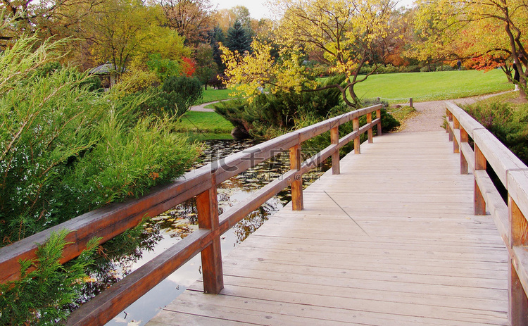 秋天日本花园的木桥