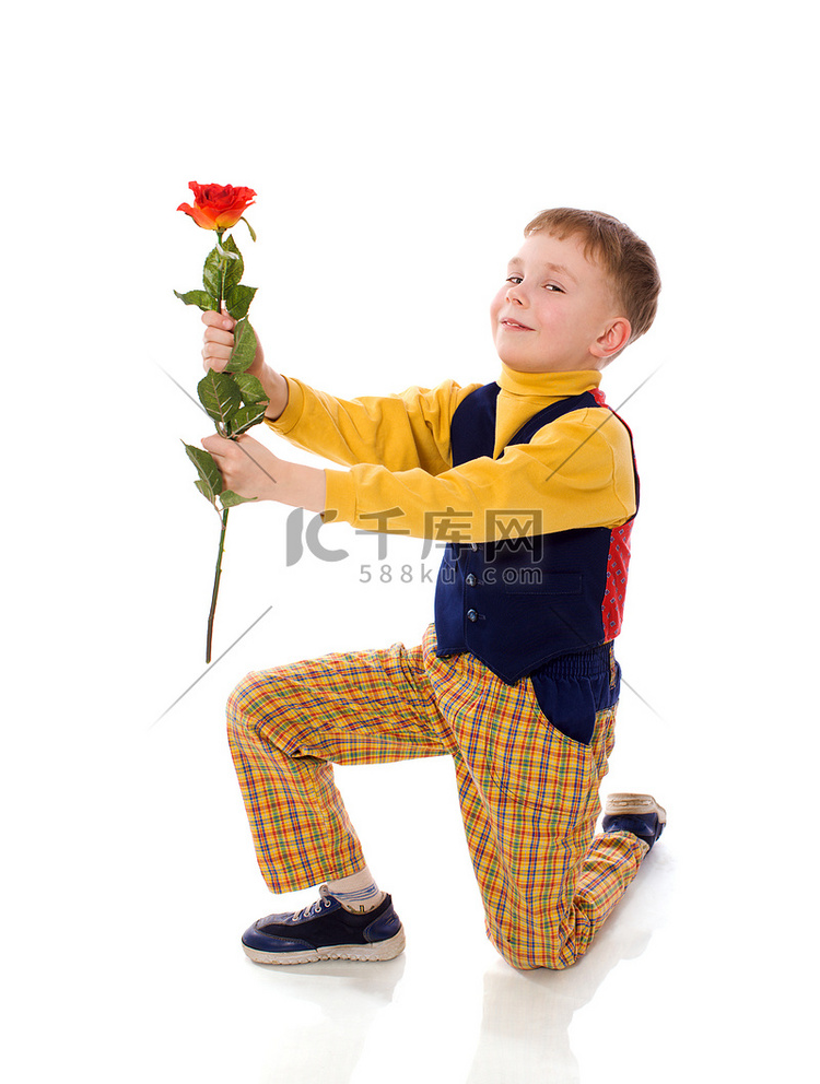 男孩给孤立的玫瑰花