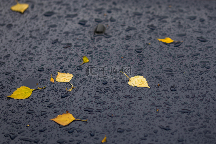 秋天雨天，一辆黑色汽车的表面有