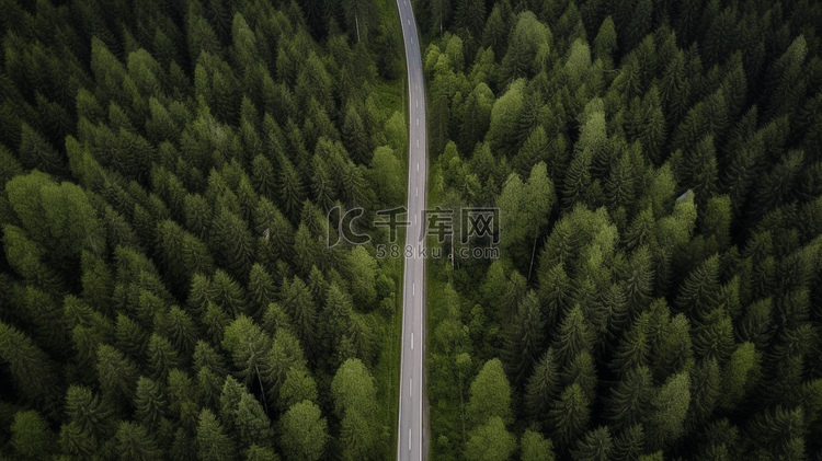 俯瞰森林中央的道路