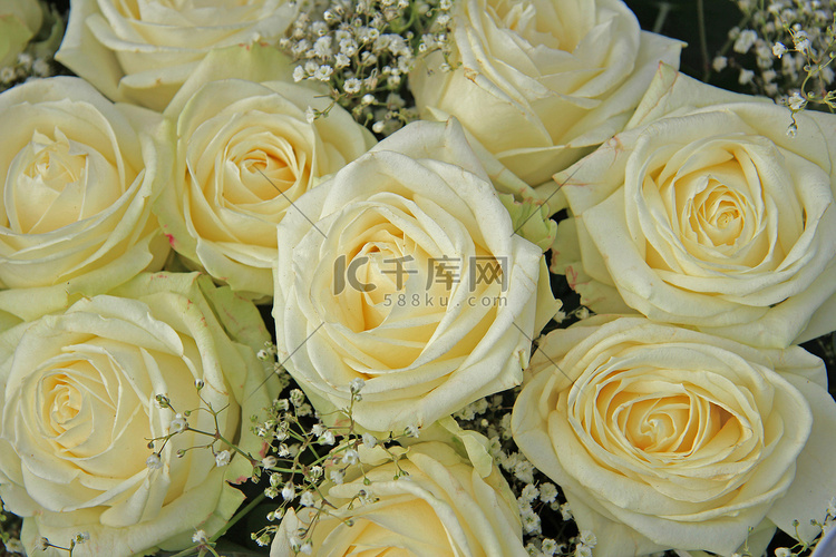 新娘花束中的白玫瑰
