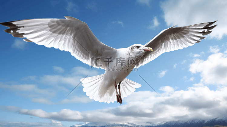 一只展翅在空中飞翔的海鸥
