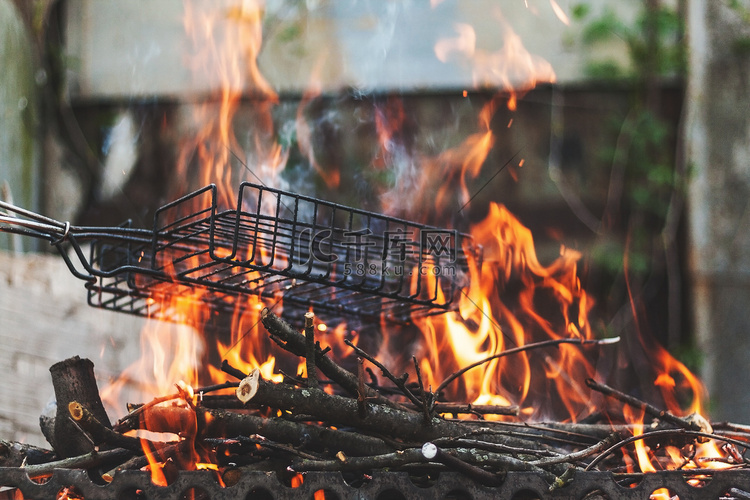 木柴和煤树枝在火盆里烧完了。