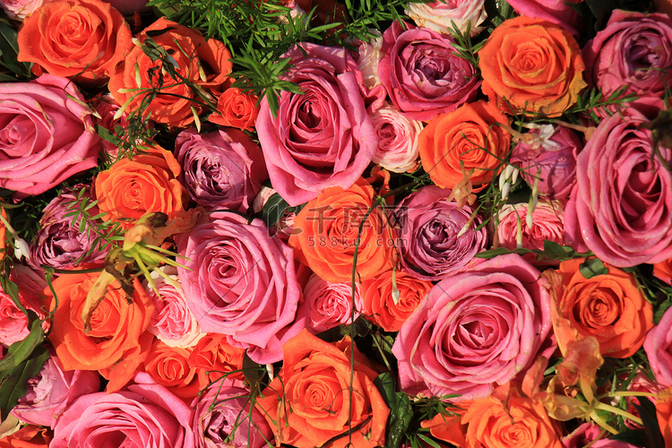 混合的粉色和橙色玫瑰