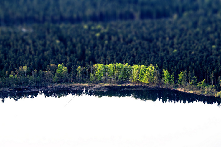 湖岸边的绿树与深色反射