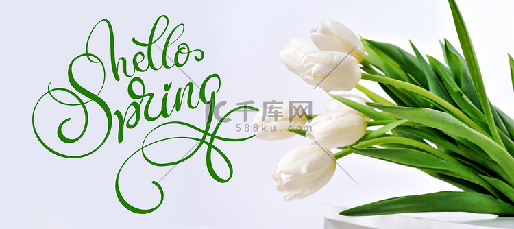 白色郁金香和文本你好春天。