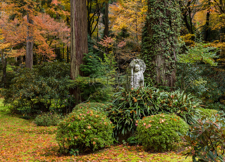 秋天的日本庭园