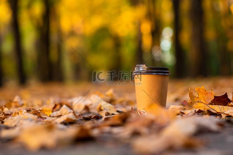 带着一杯热可可漫步在秋天的公园