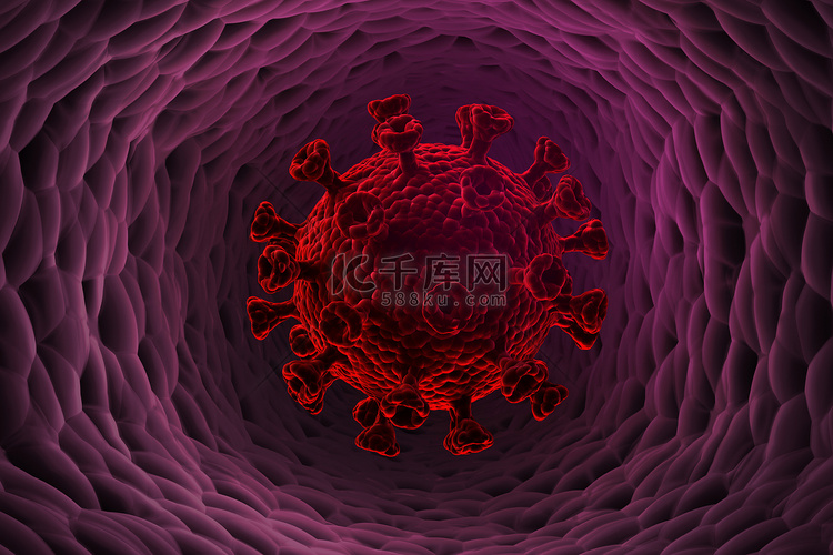 显示人体内冠状病毒的插图。 