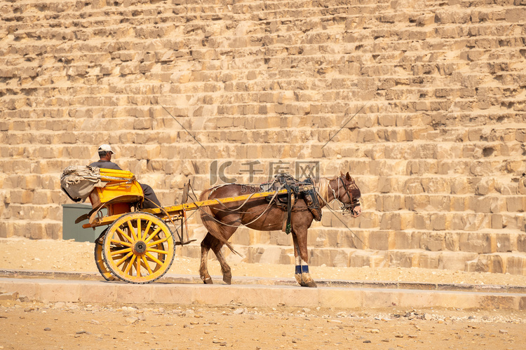 埃及开罗吉萨金字塔的马夫