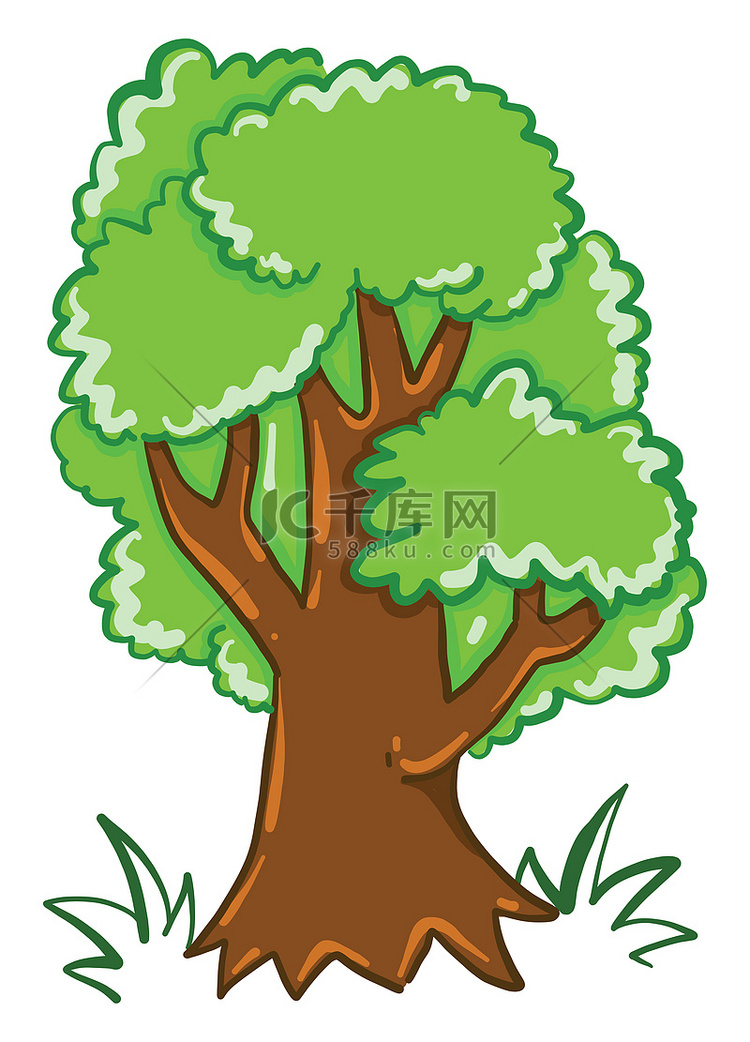 大绿树，插图，白色背景上的矢量