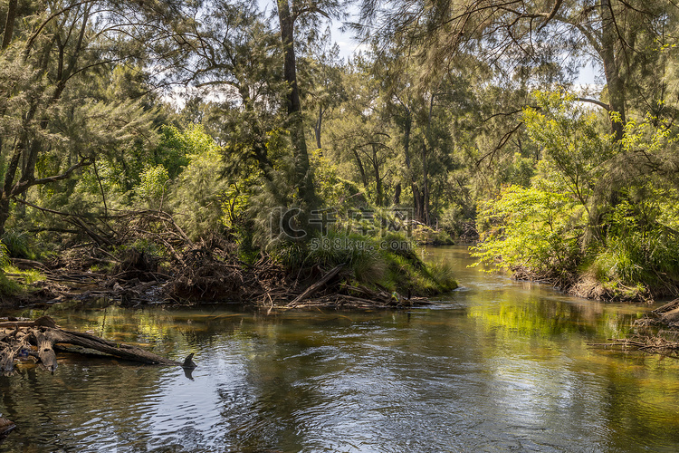 澳大利亚地区阳光下的一条小溪穿