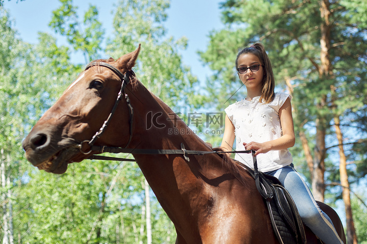 骑着棕色马的少女，为公园里的人