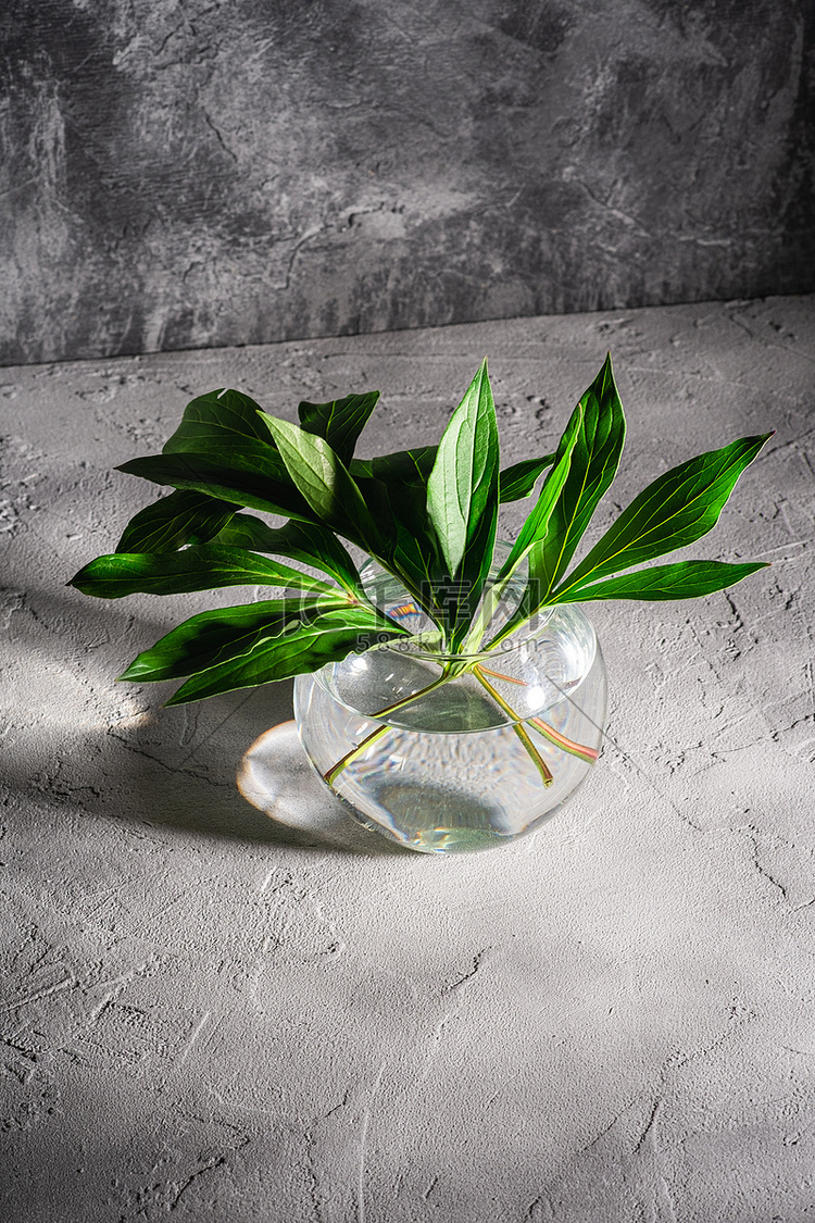 玻璃球花瓶中的牡丹绿叶用水