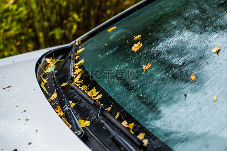 秋雨天白色汽车，橙色桦叶 — 