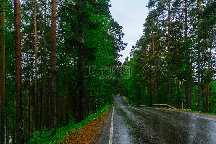 Punkaharju 山脊的道路和森林