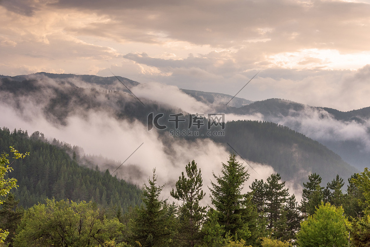 保加利亚森林中的雾。