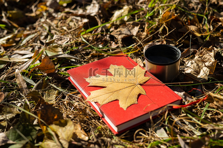 热茶红书和秋天黄色落叶的热水瓶