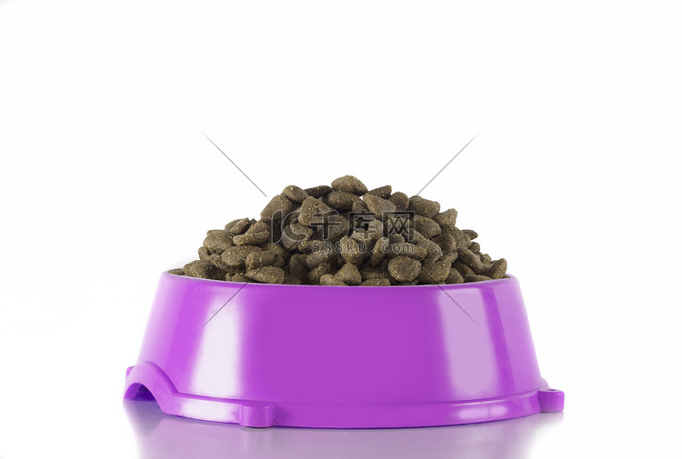 紫红色碗中的狗粮，白色工作室背