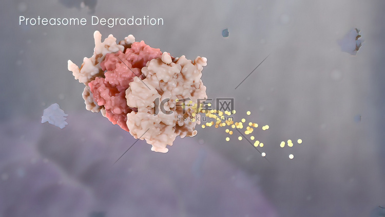 3D 科学动画破坏细胞内蛋白质
