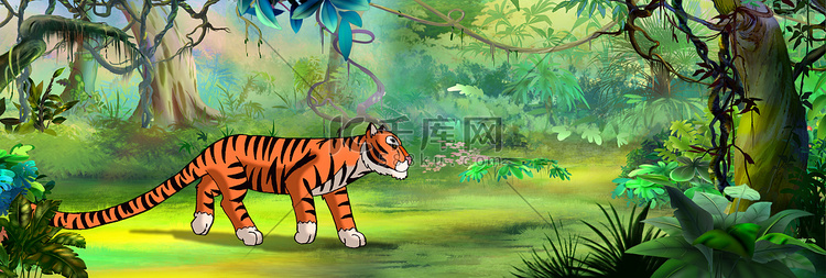 热带雨林中的老虎