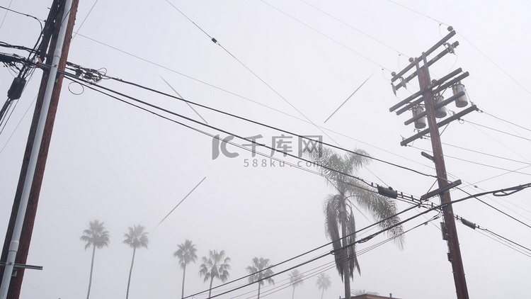 加利福尼亚州城市街道雾中的棕榈